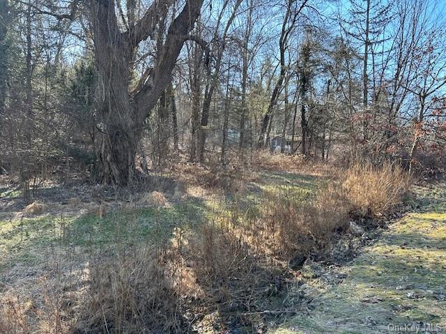 Land Route 209  Ulster, NY 12404, MLS-H6151324-2