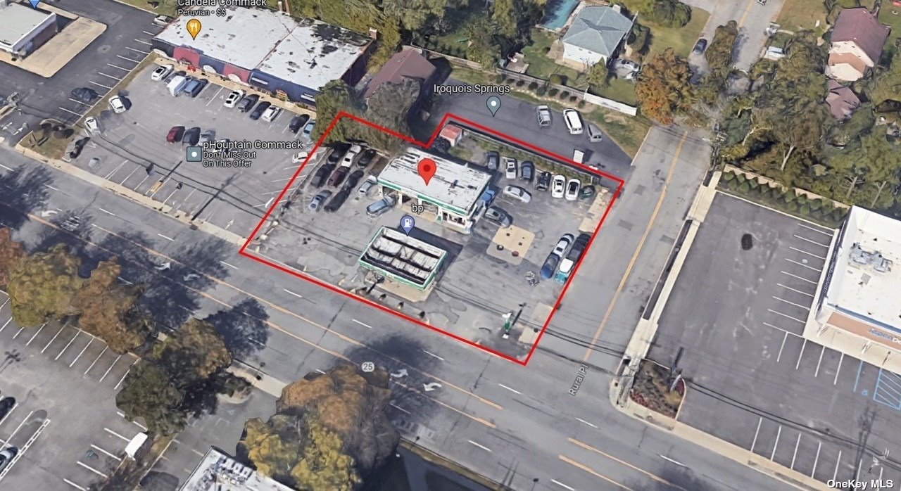 Business Opportunity Jericho  Suffolk, NY 11725, MLS-3485341-2