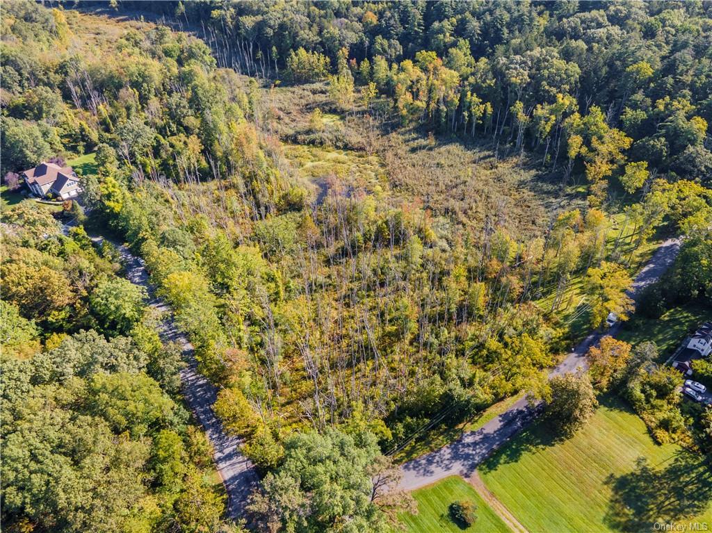 Land Nichris  Dutchess, NY 12580, MLS-H6271347-2