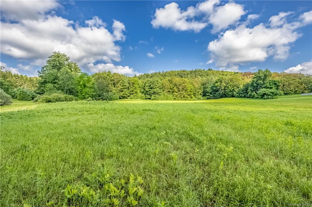 Land Route 209  Ulster, NY 12428, MLS-H6262369-2