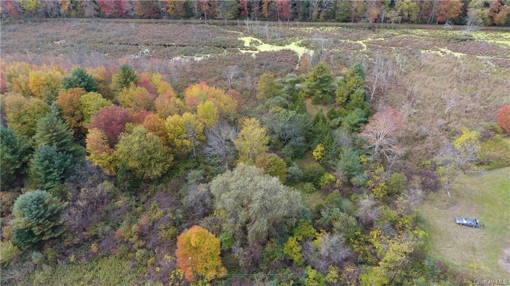 Land State Route 209  Sullivan, NY 12790, MLS-H6085378-2