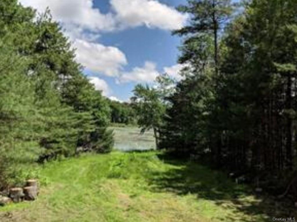 Land Taras Shevchenko Rd/elle  Sullivan, NY 12737, MLS-H6228378-2