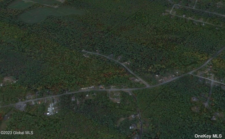 Land Hickory  Out Of Area, NY 12831, MLS-3480387-2