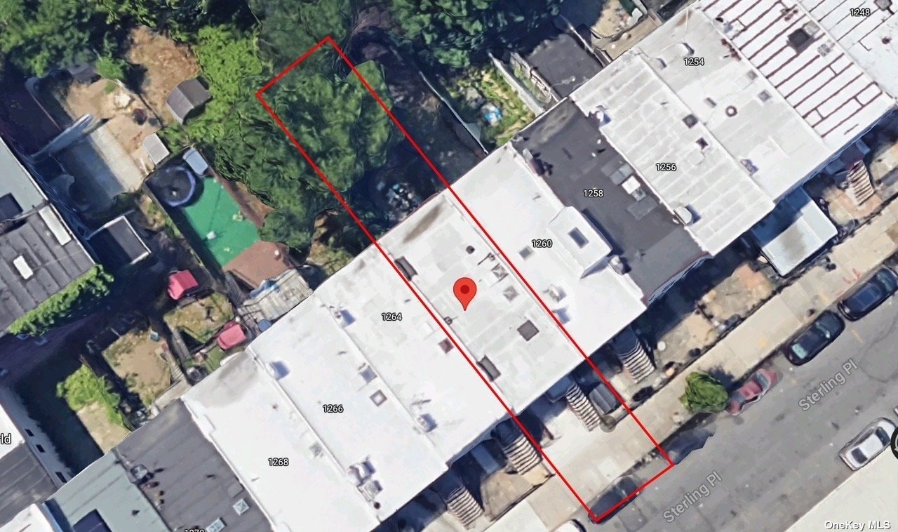 Business Opportunity Sterling  Brooklyn, NY 11213, MLS-3515411-2