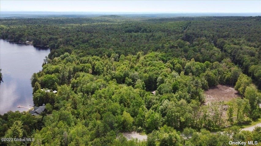 Land Wileytown  Out Of Area, NY 12850, MLS-3481428-2
