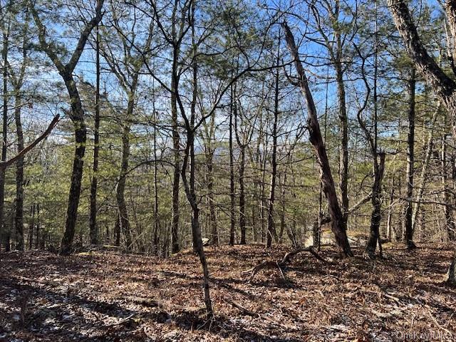 Land Route 28a  Ulster, NY 12443, MLS-H6278433-2