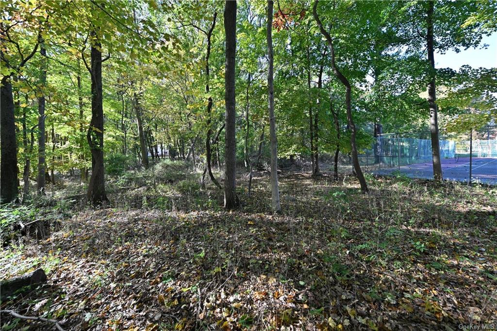 Land Summit Park  Rockland, NY 10977, MLS-H6274443-2