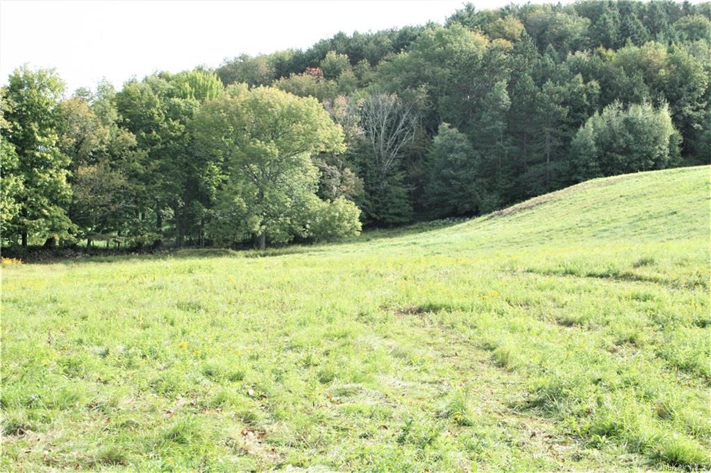 Land 03 Bauernfeind  Sullivan, NY 12723, MLS-H6213451-2