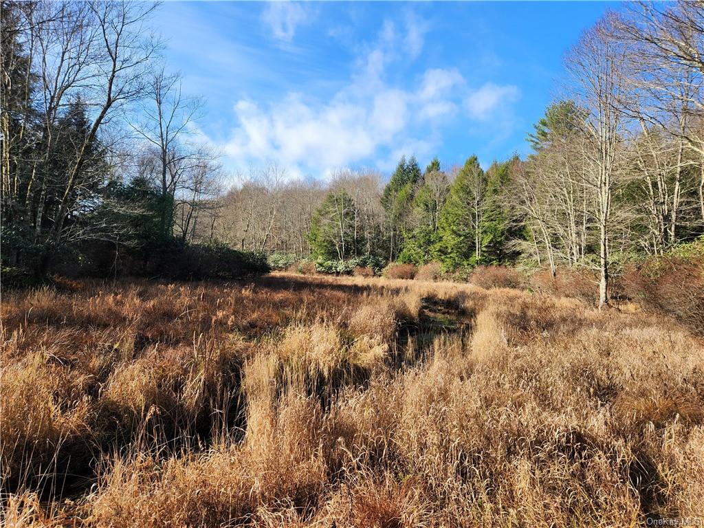 Land Hurd And Parks  Sullivan, NY 12720, MLS-H6219453-2