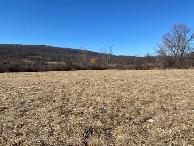 Land Vineyard  Ulster, NY 12528, MLS-H6170462-2