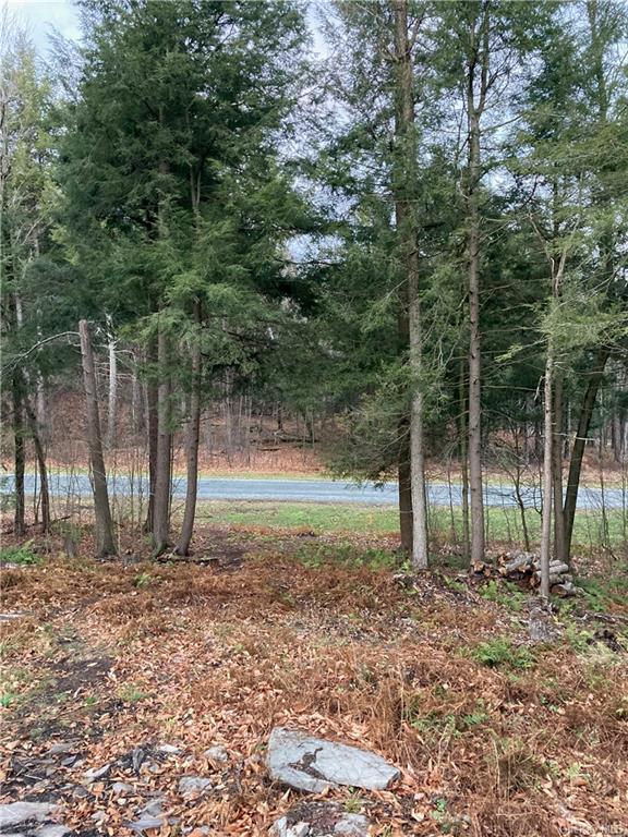 Land Kenoza  Sullivan, NY 12750, MLS-H6271467-2