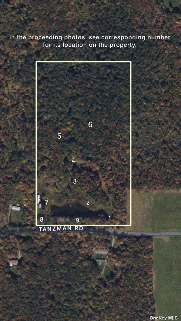 Land Tanzman  Sullivan, NY 12768, MLS-3506472-2