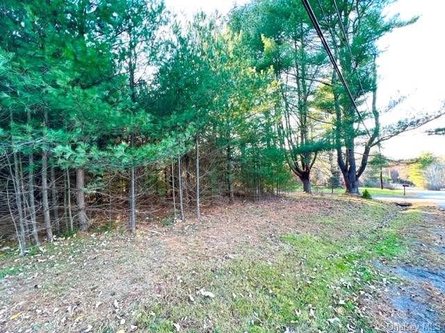 Land Hillside  Sullivan, NY 12719, MLS-H6277475-2