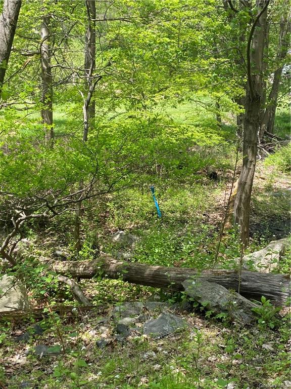 Land Teatown  Westchester, NY 10520, MLS-H6040480-2
