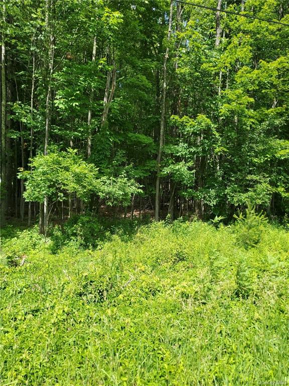 Land Ulster Heights  Ulster, NY 12428, MLS-H6274493-2