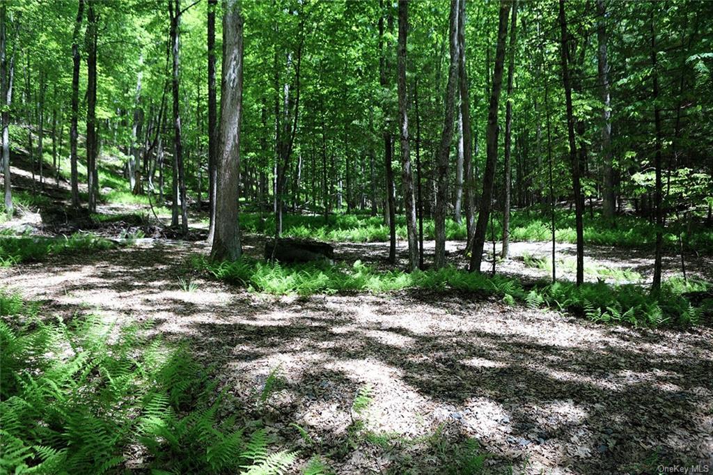 Land Barbara  Sullivan, NY 12723, MLS-H6280499-2