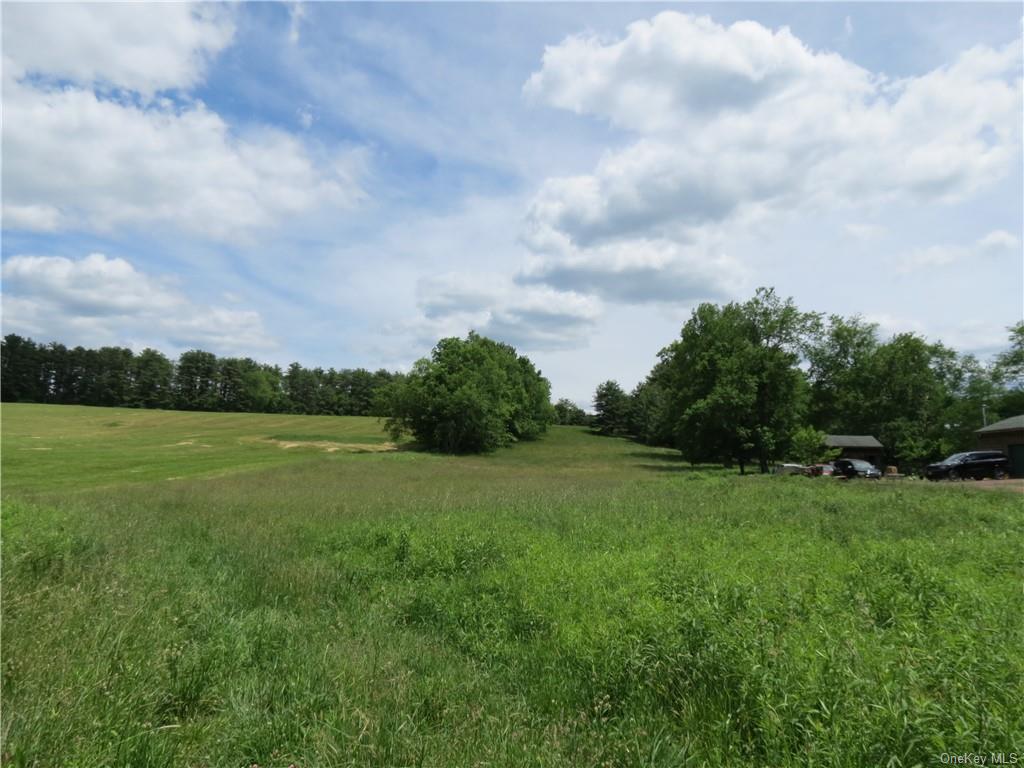 Land Kelly  Sullivan, NY 12726, MLS-H6044507-2