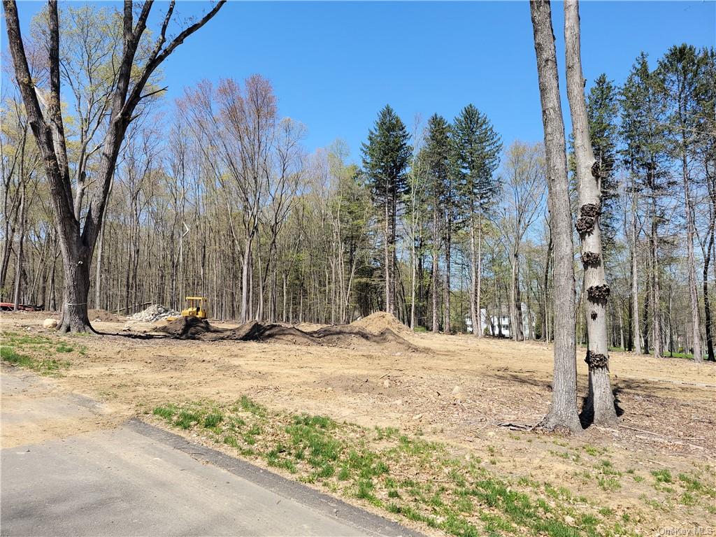 Land Cobbling Rock  Westchester, NY 10536, MLS-H6194528-2