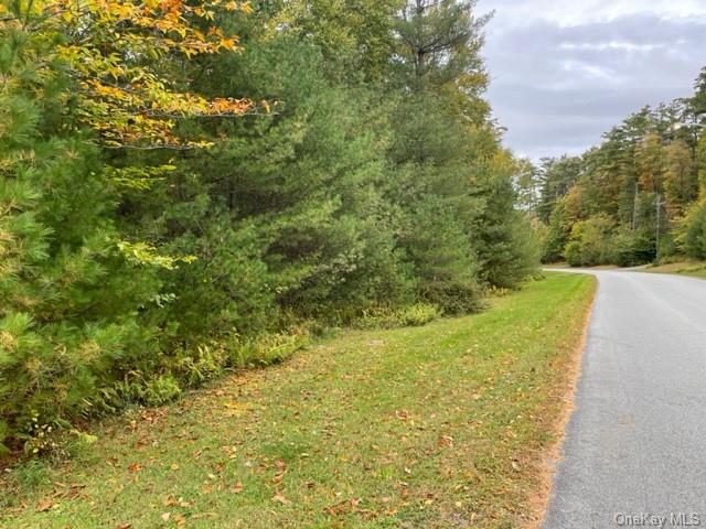 Land Chapin  Sullivan, NY 12720, MLS-H6273528-2