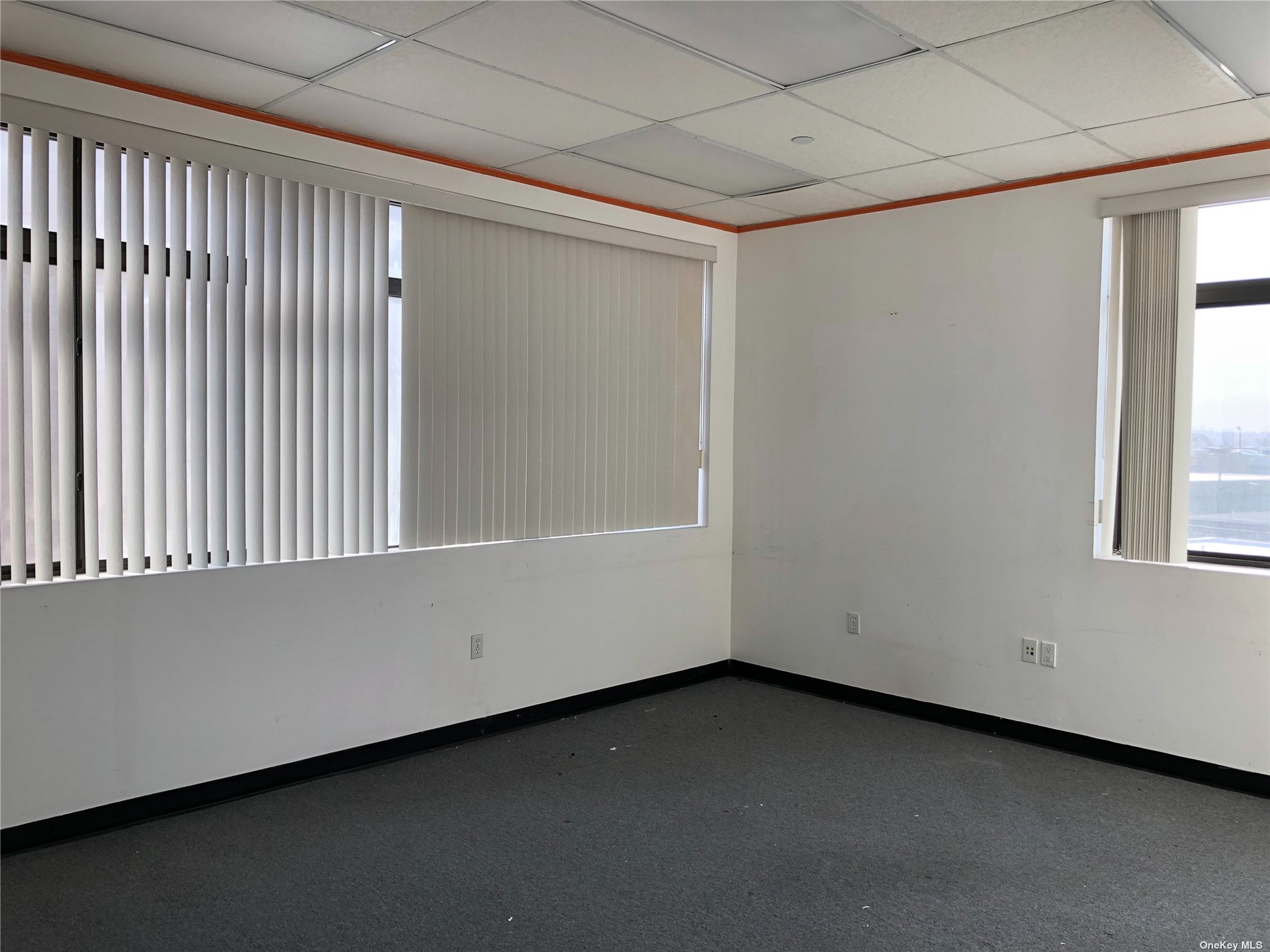 Commercial Lease Farrington  Queens, NY 11354, MLS-3487533-2