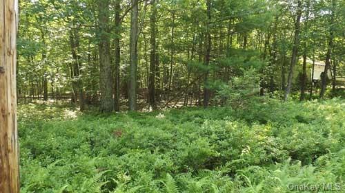 Land Ridge  Out Of Area, NY 18337, MLS-H6262542-2