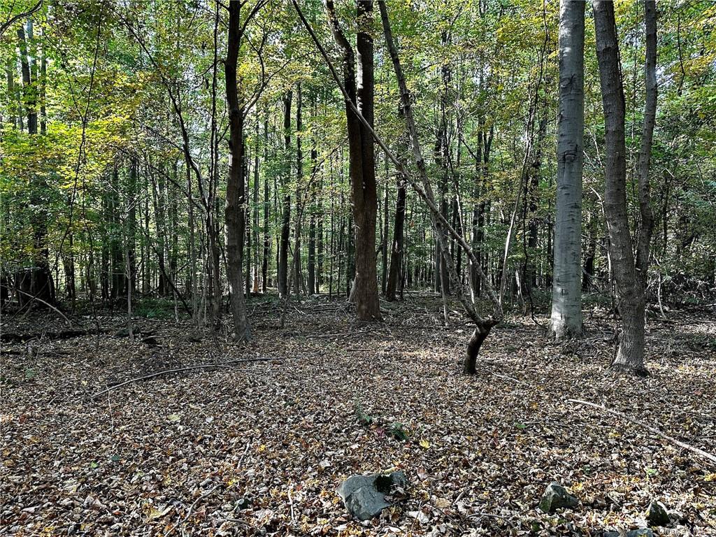 Land Meadow  Ulster, NY 12561, MLS-H6272542-2