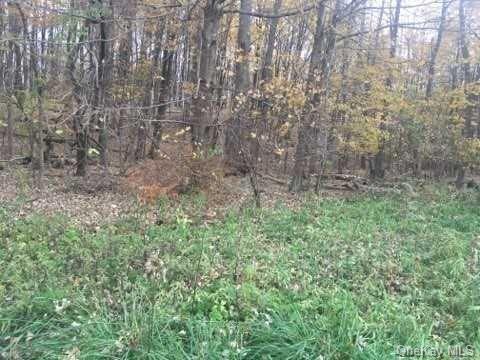 Land Route 52  Dutchess, NY 12533, MLS-H6217545-2