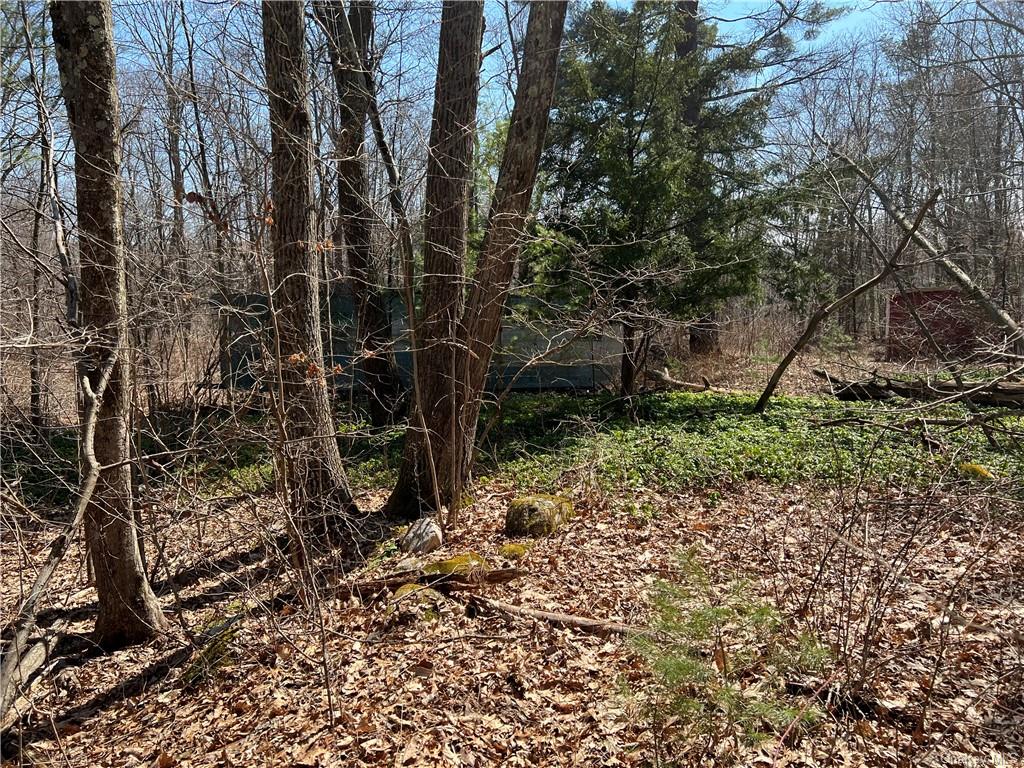 Land State Route 209  Sullivan, NY 12790, MLS-H6228553-2