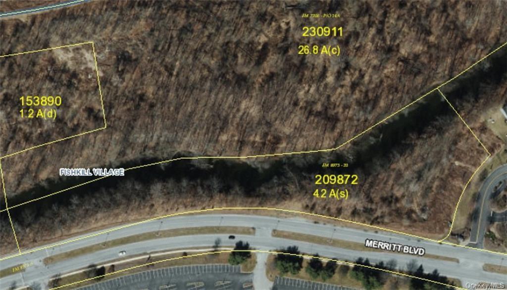 Land Merritt  Dutchess, NY 12524, MLS-H6238554-2