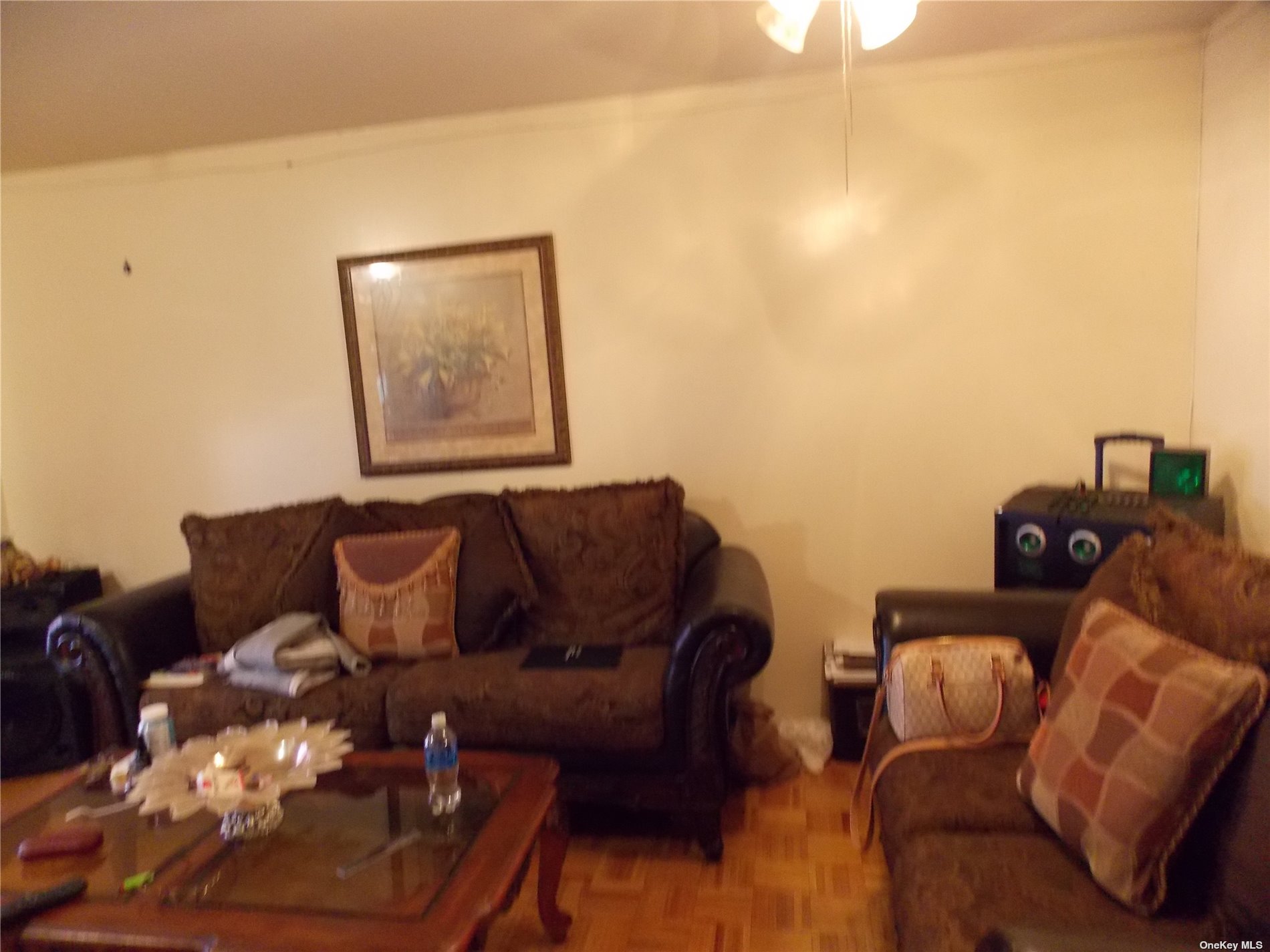 Three Family 181st  Bronx, NY 10460, MLS-3502576-2