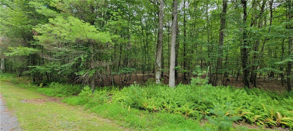 Land Hawks Nest  Out Of Area, NY 18428, MLS-H6265593-2