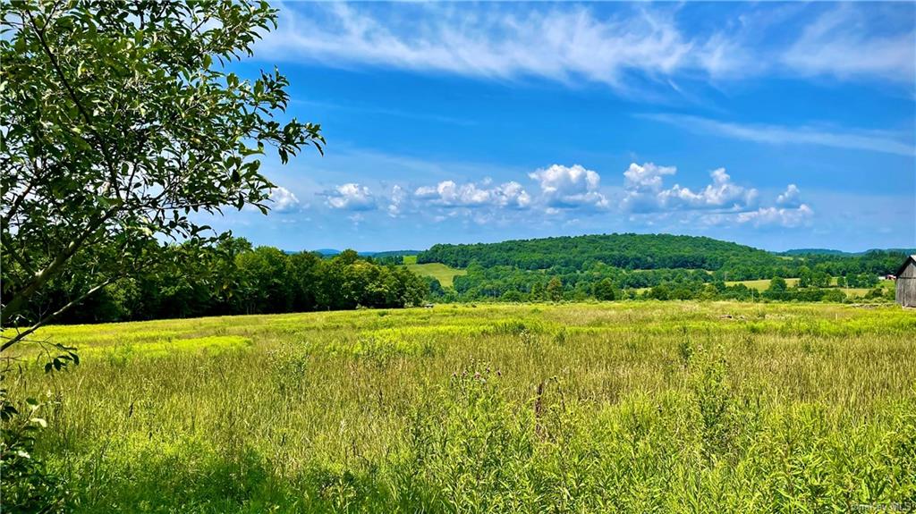 Land Beechwoods  Sullivan, NY 12723, MLS-H6141596-2