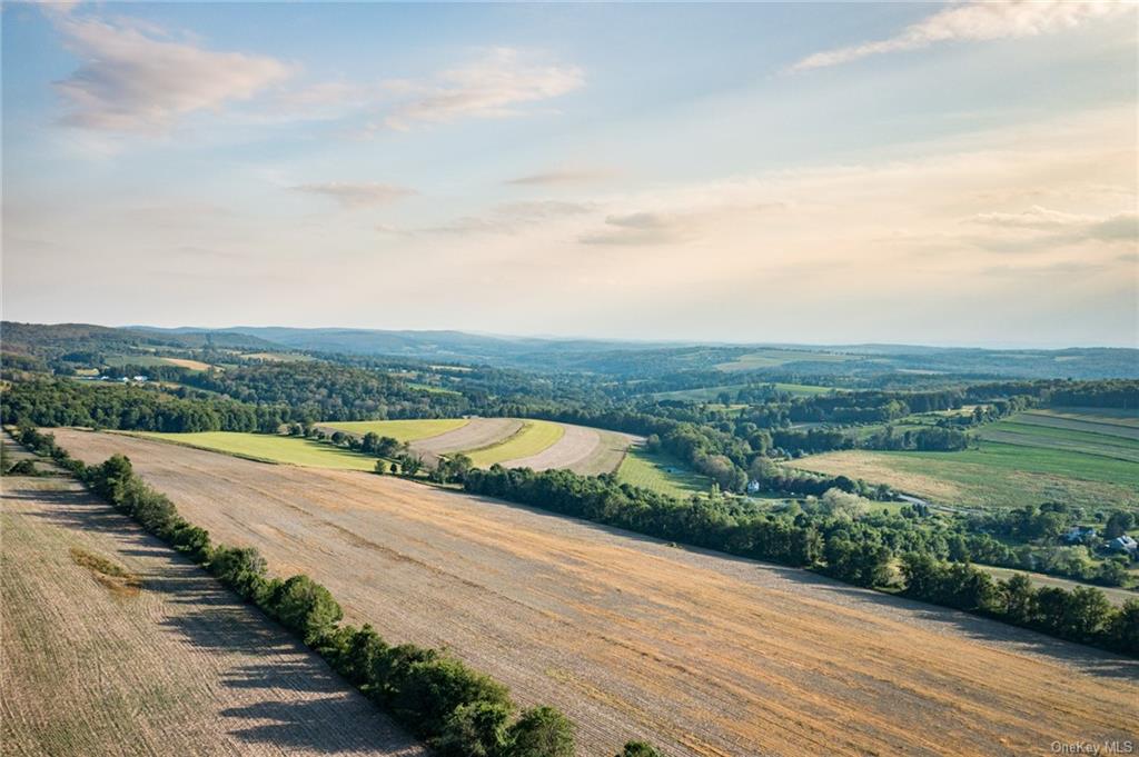 Land Homestead Farm  Dutchess, NY 12546, MLS-H6212604-2