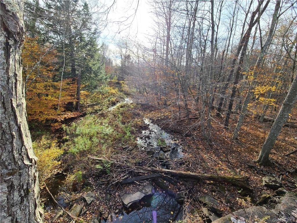 Land Beaver Lake  Sullivan, NY 12758, MLS-H6232604-2