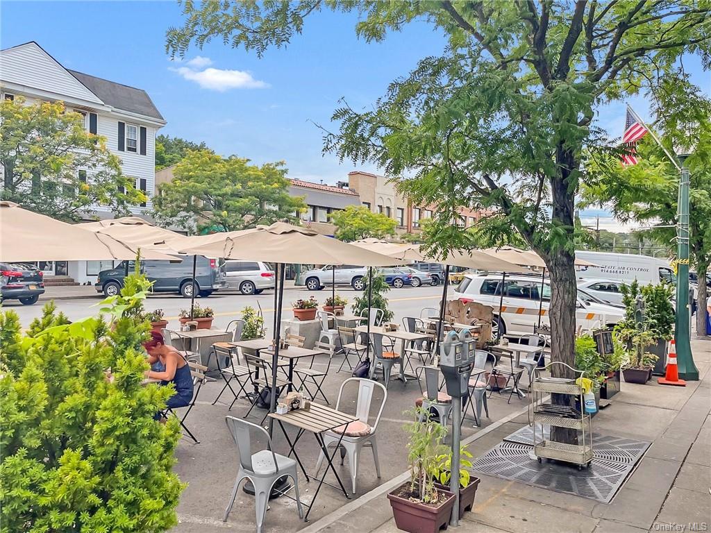 Business Opportunity Mamaroneck  Westchester, NY 10543, MLS-H6207620-2