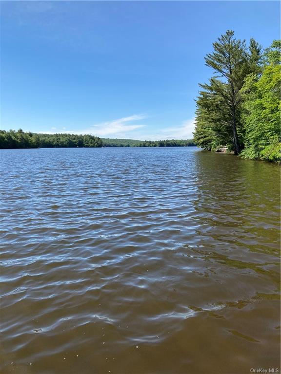 Land Plank  Sullivan, NY 12777, MLS-H6190627-2