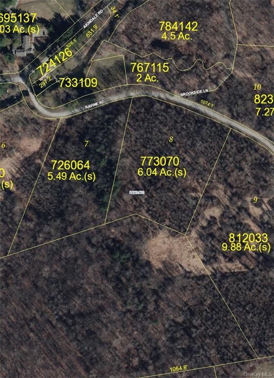 Land Ravine  Dutchess, NY 12564, MLS-H6072629-2