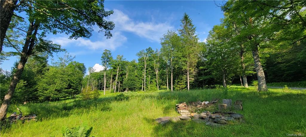 Land Woodard  Sullivan, NY 12768, MLS-H6258638-2