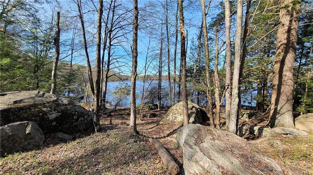 Land Lakeshore  Sullivan, NY 12778, MLS-H6143640-2