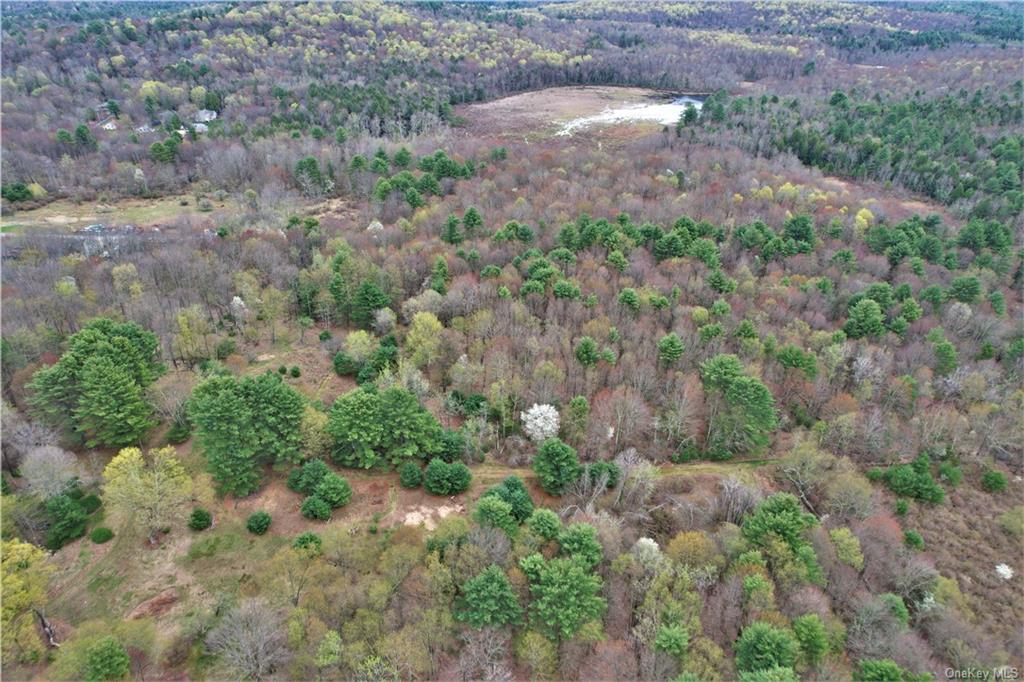 Land Mitchell  Sullivan, NY 12786, MLS-H6243649-2