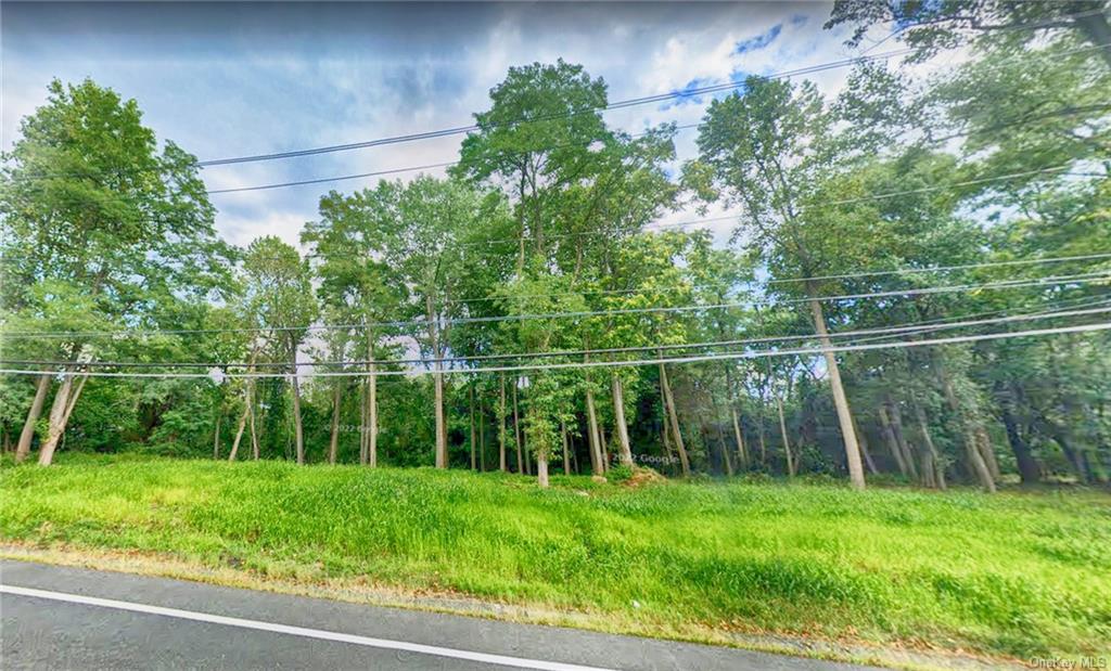 Land Us 9w (n. Highland Ave.)  Rockland, NY 10960, MLS-H6254656-2