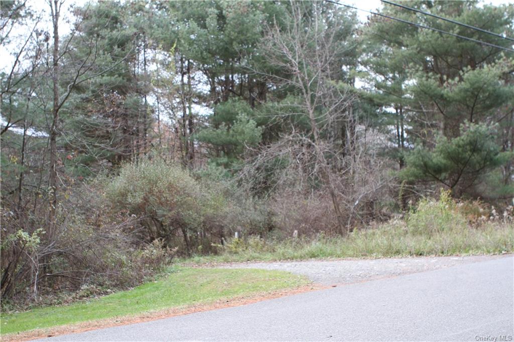 Land Poole Hill  Columbia, NY 12502, MLS-H6277659-2