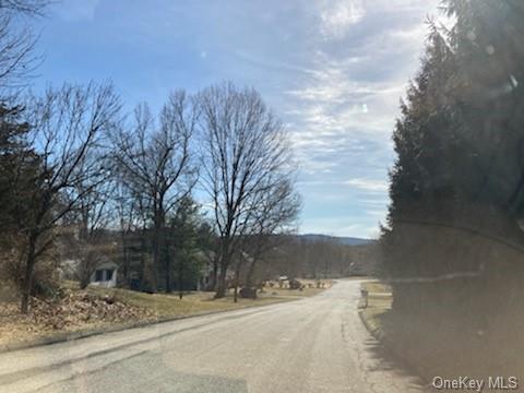 Land Saddle Ridge  Dutchess, NY 12533, MLS-H6234663-2