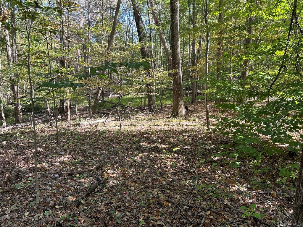 Land Benedict  Orange, NY 12549, MLS-H6272685-2