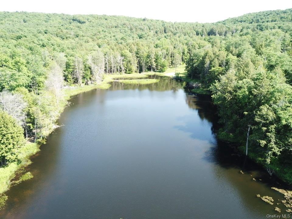 Land Eagles Ridge  Sullivan, NY 12768, MLS-H6123686-2