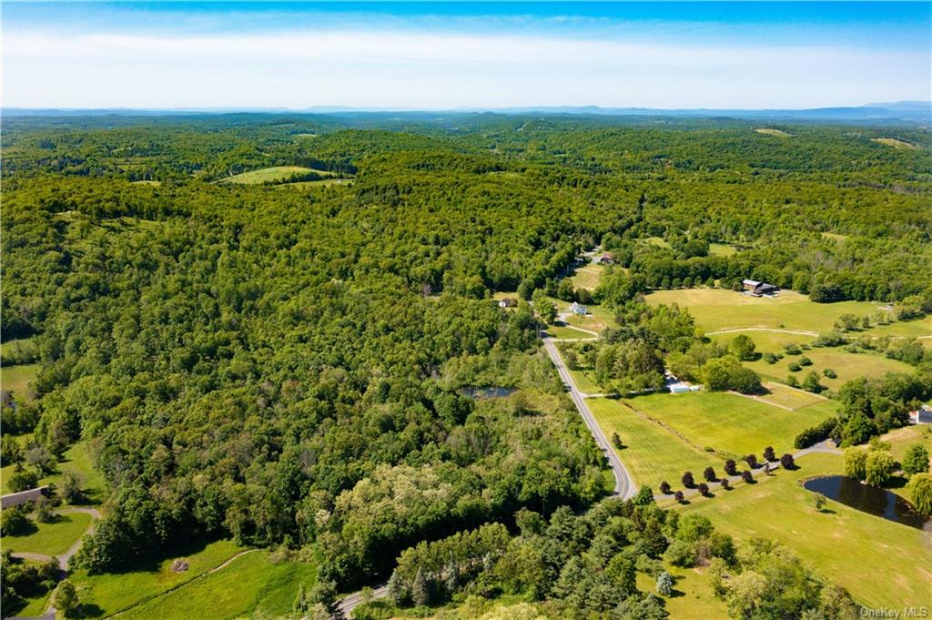 Land Academy Hill  Dutchess, NY 12571, MLS-H6251686-2