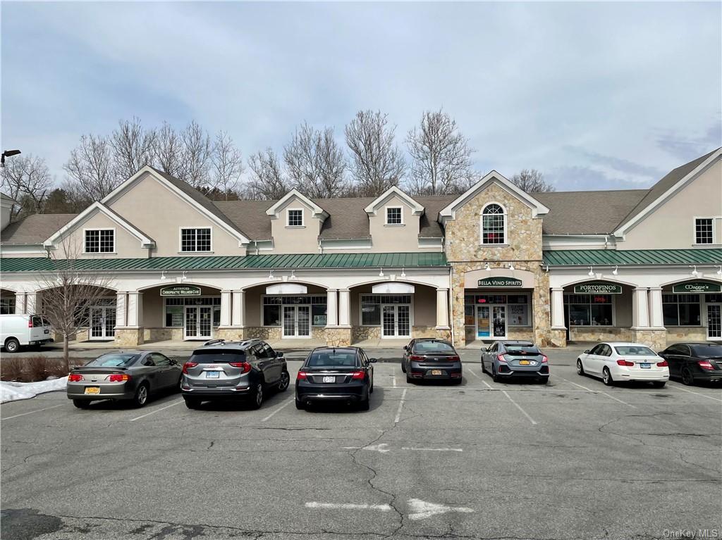 Commercial Lease Route 22  Putnam, NY 10509, MLS-H6229687-2