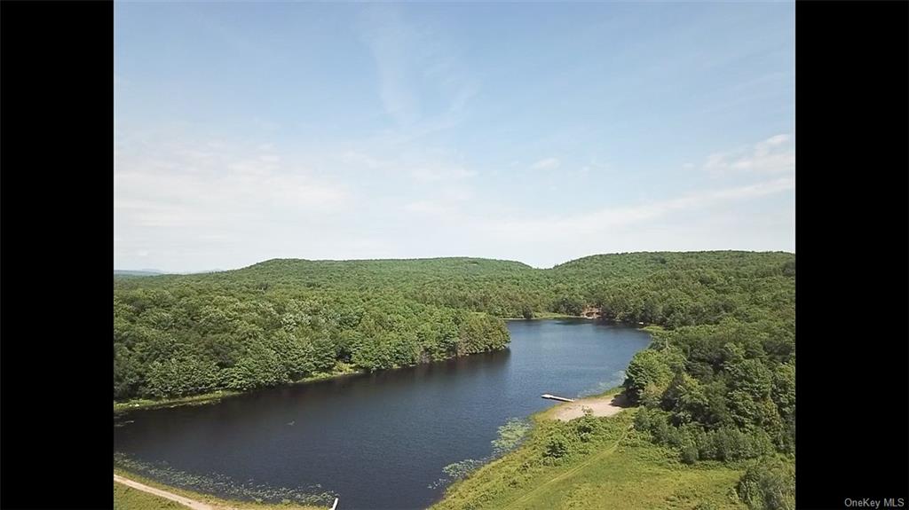 Land Tanzman  Sullivan, NY 12768, MLS-H6123688-2