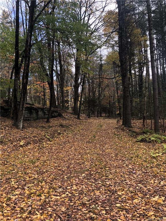 Land Old Tacy  Sullivan, NY 12720, MLS-H6261690-2