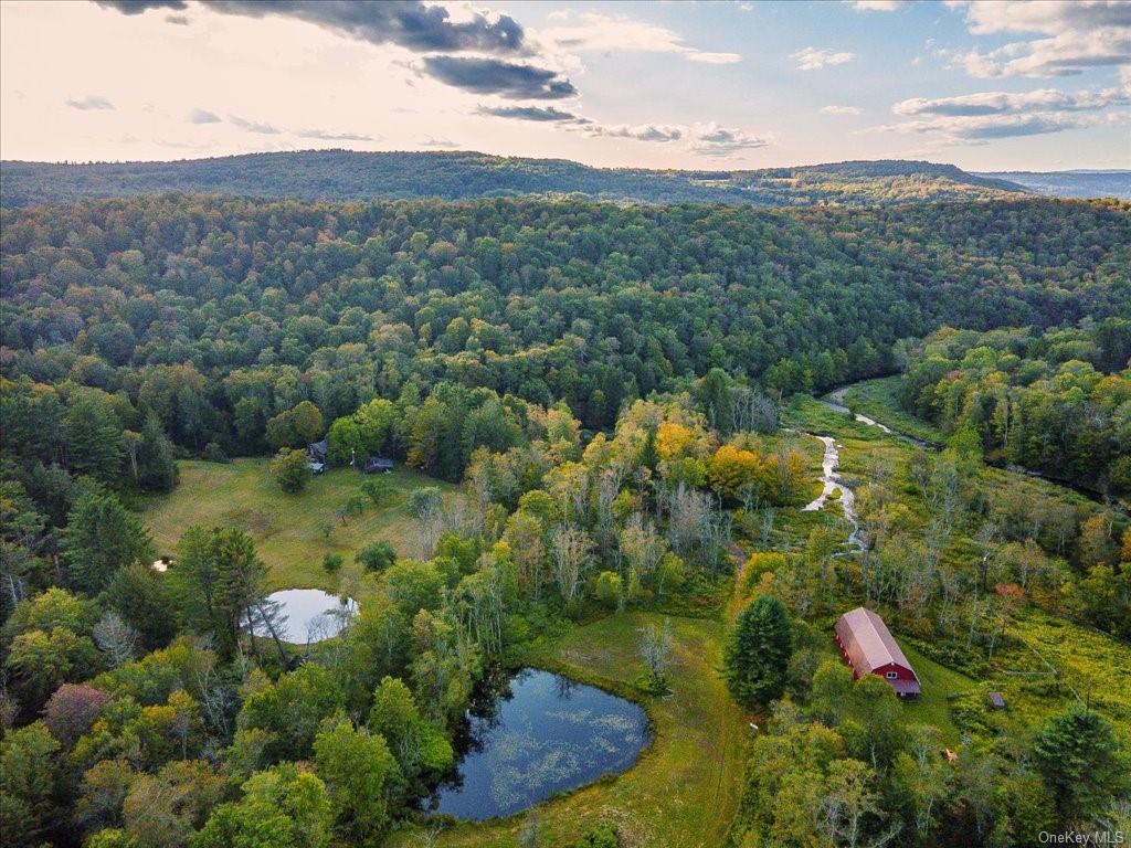 Land Old Liberty  Sullivan, NY 12758, MLS-H6269690-2